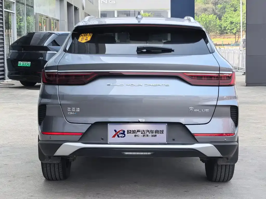 BYD PLUS New Energy 2022 из CN, фото 2
