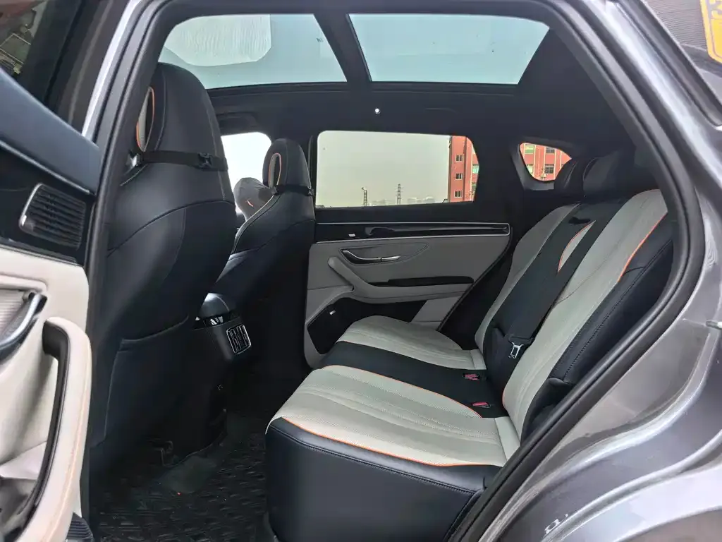 BYD PLUS New Energy 2022 из CN, фото 3