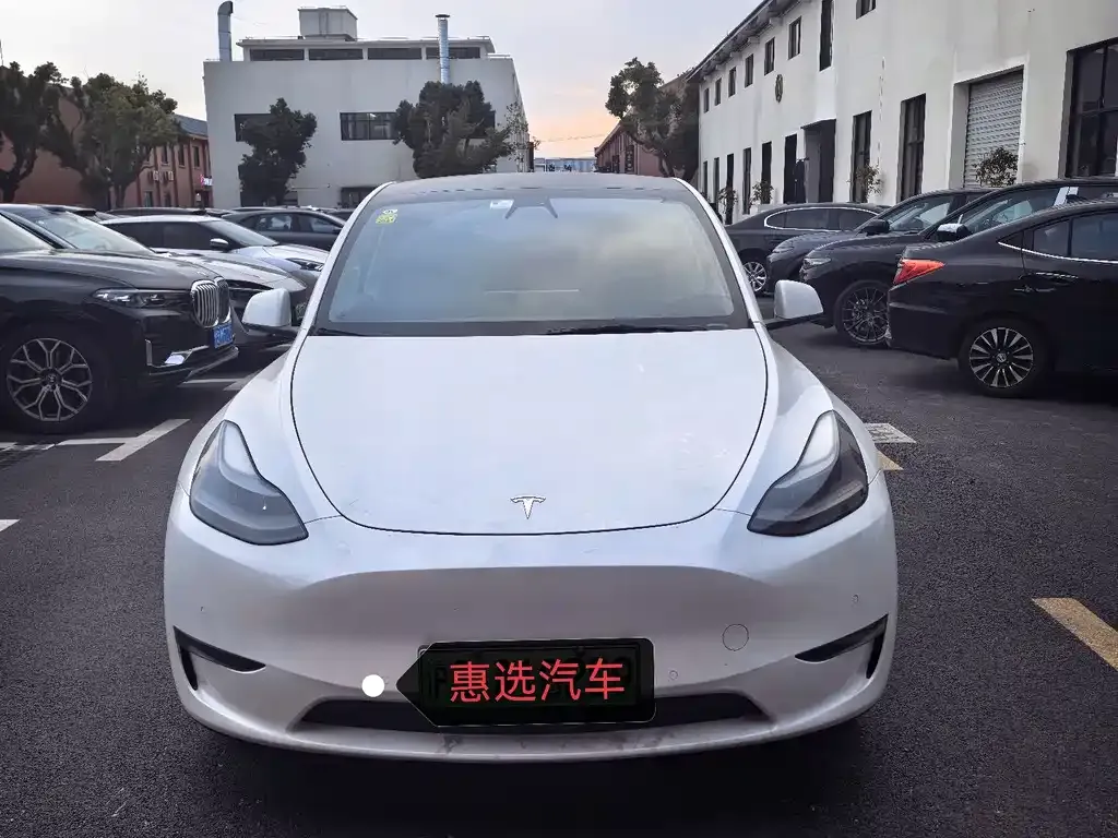 Tesla Model Y — фото 9
