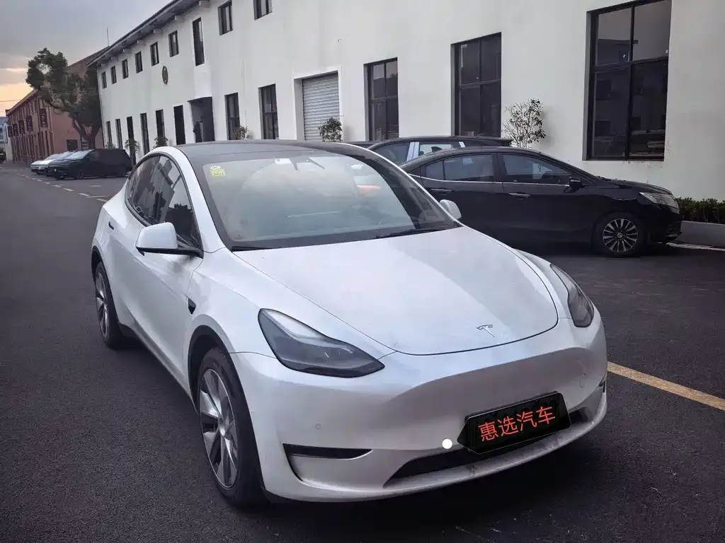 Tesla Model Y — фото 8