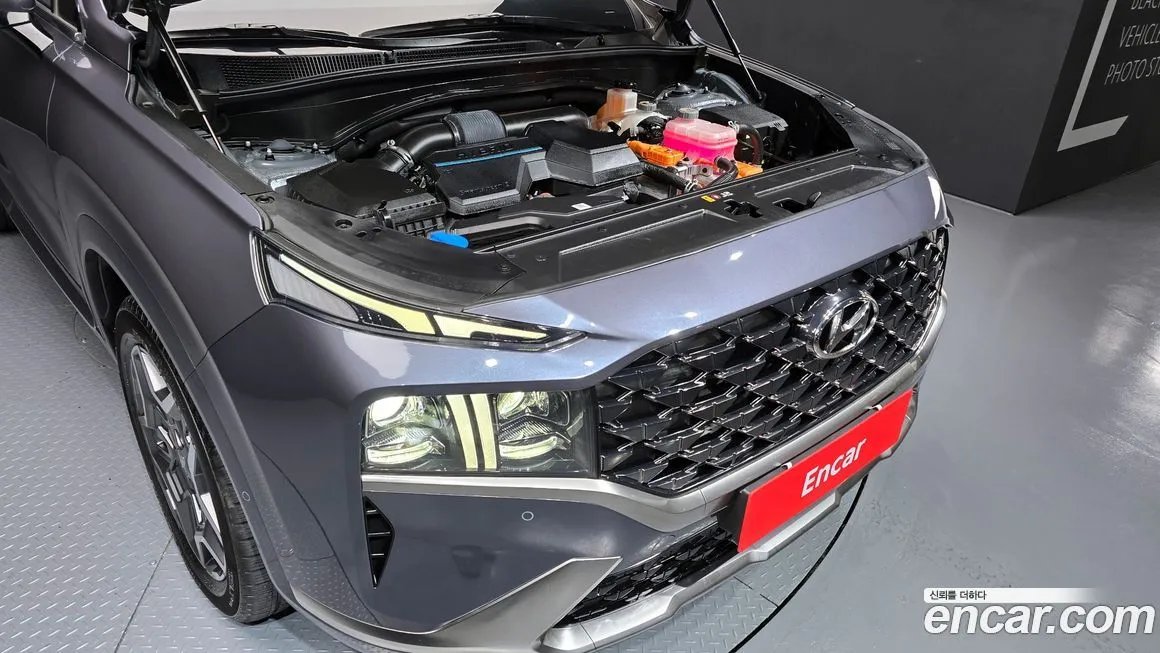 Hyundai Santafe 2022 из KR, фото 4