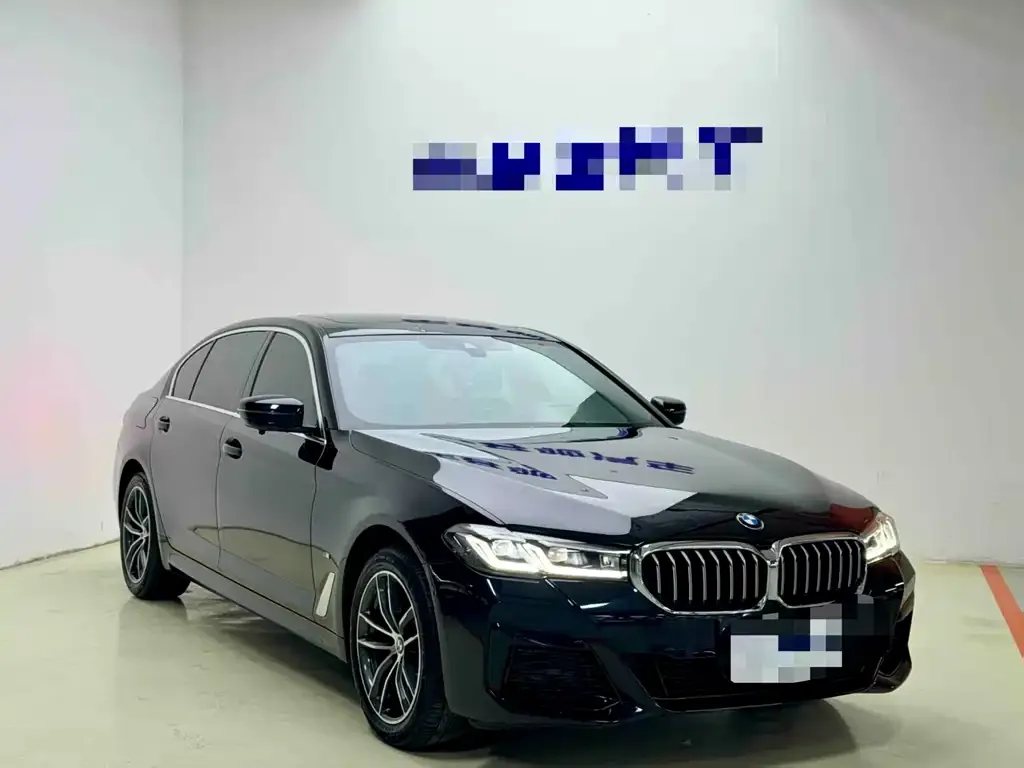 BMW 5 Series 2023 из CN, фото 2