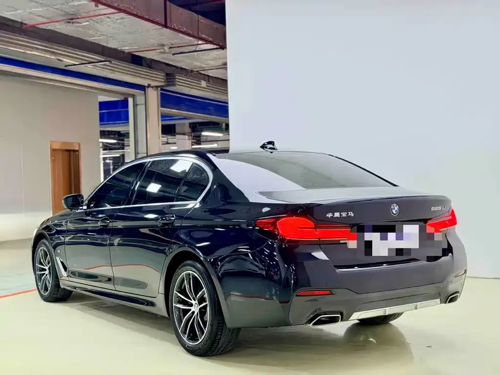 BMW 5 Series 2023 из CN, фото 5
