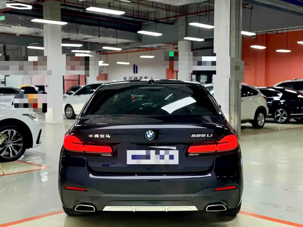 BMW 5 Series 2023 из CN, фото 9