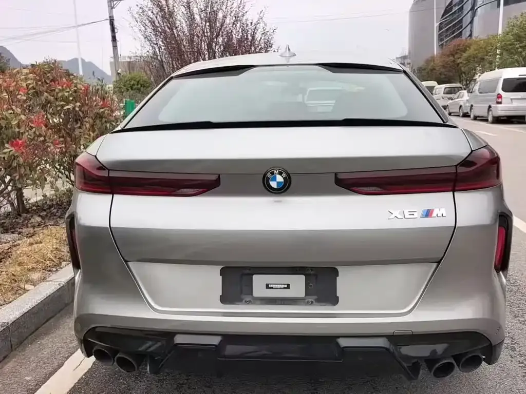BMW X6 M 2023 из CN, фото 6