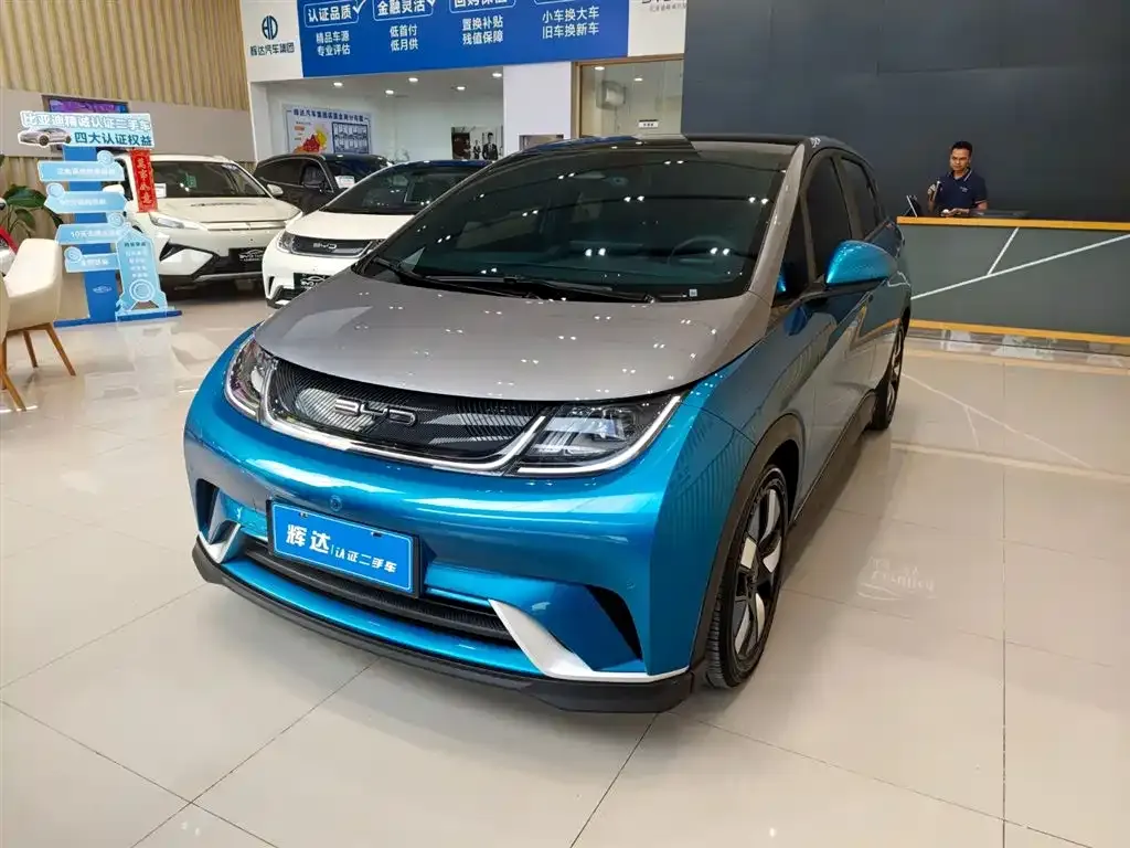 BYD Dolphin 2023 из CN, фото 1