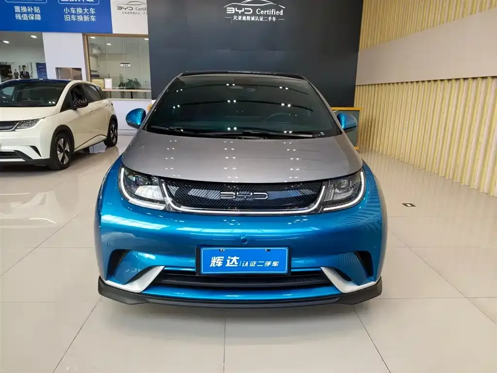 BYD Dolphin 2023 из CN, фото 3