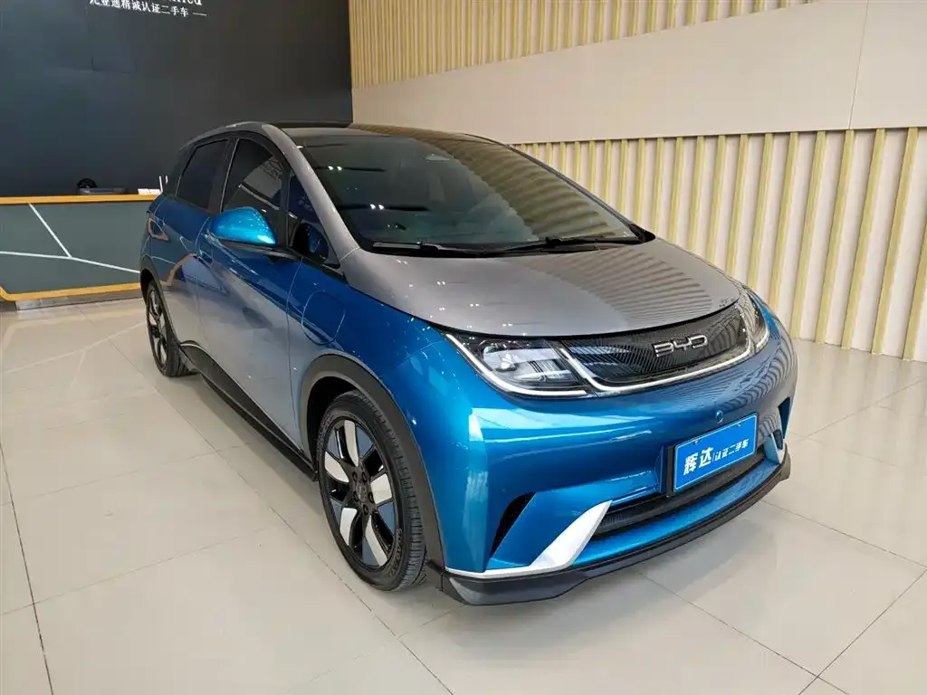 BYD Dolphin 2023 из CN, фото 2