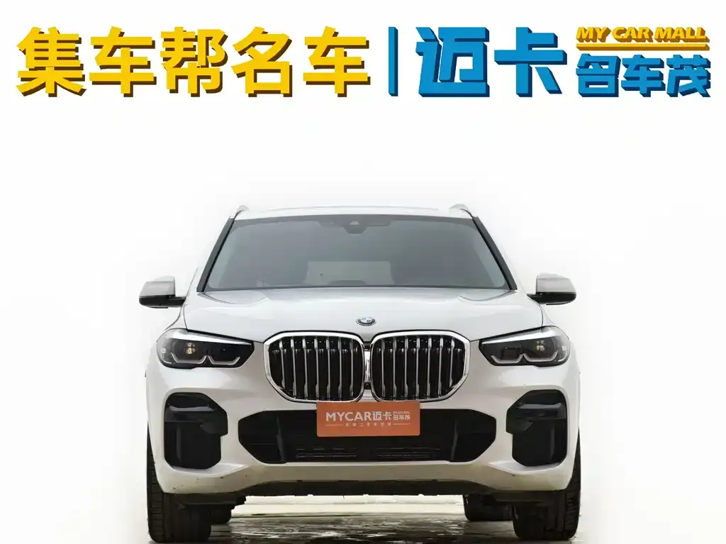 BMW X5 (Import) — фото 9