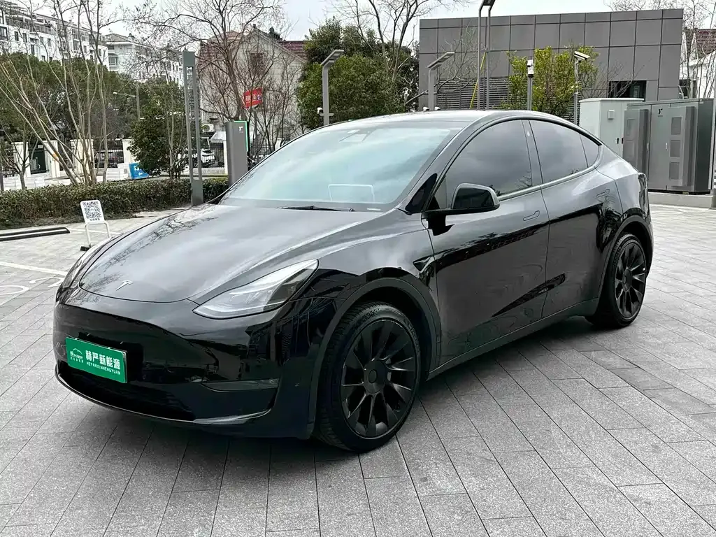 Tesla Model Y — фото 1