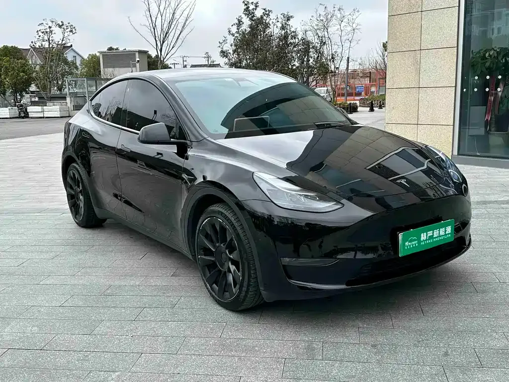 Tesla Model Y — фото 8