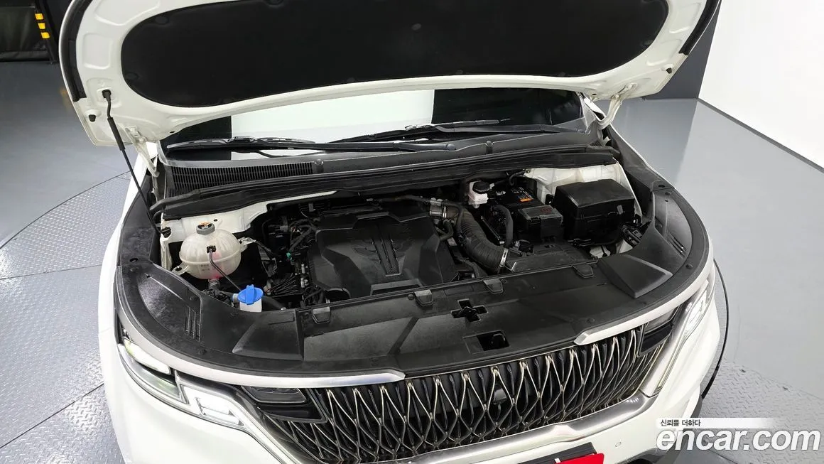 Kia Carnival — фото 10