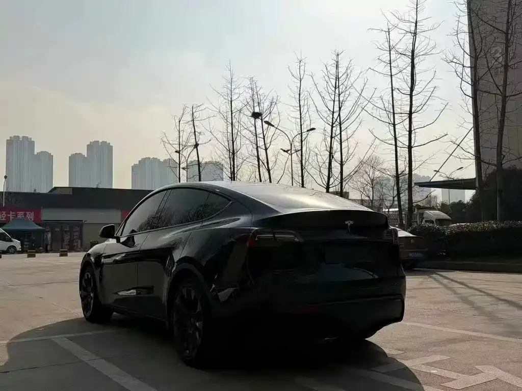Tesla Model Y 2023 из CN, фото 3