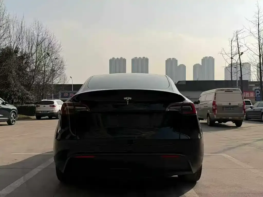Tesla Model Y 2023 из CN, фото 8