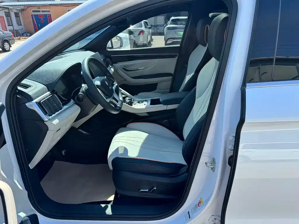 BYD PLUS New Energy 2022 из CN, фото 8