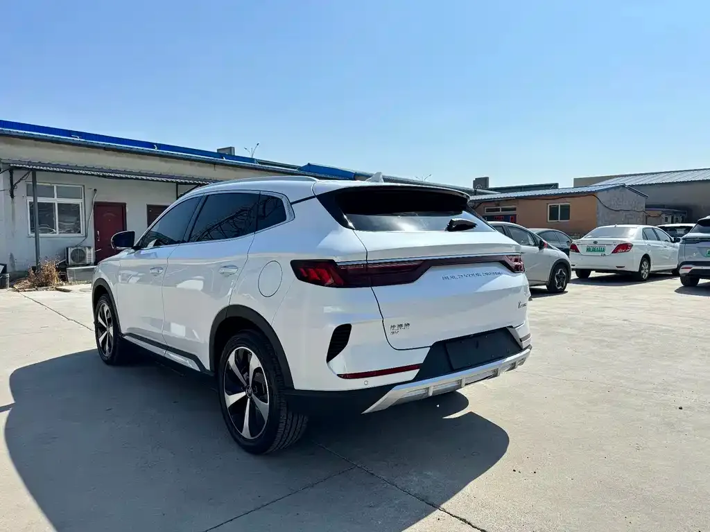 BYD PLUS New Energy 2022 из CN, фото 10
