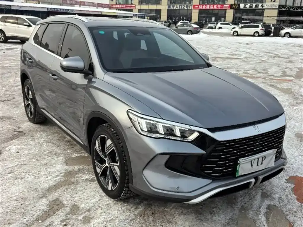 BYD Pro New Energy — фото 9