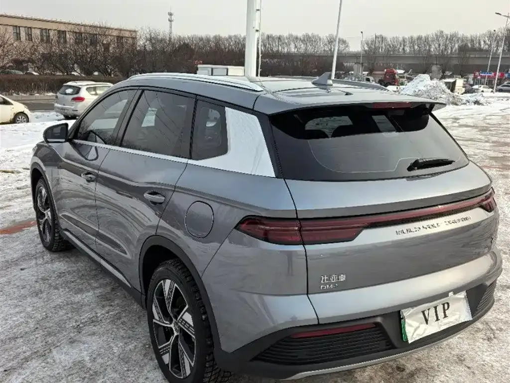 BYD Pro New Energy — фото 3