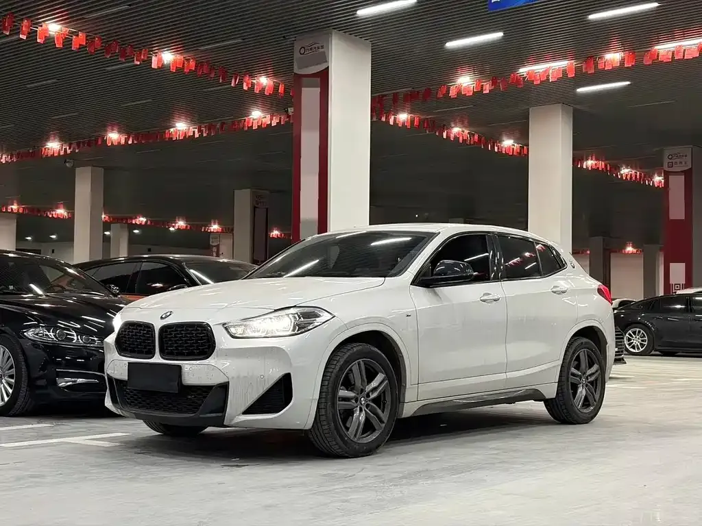 BMW X2 2023 из CN, фото 1