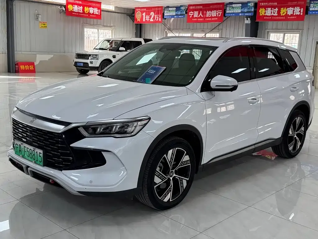 BYD Pro New Energy — фото 1