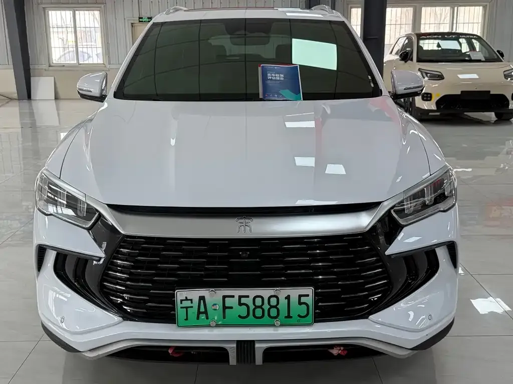 BYD Pro New Energy — фото 2