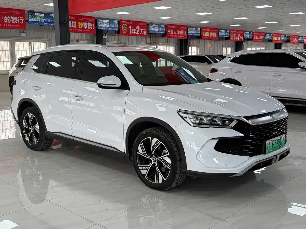 BYD Pro New Energy — фото 4