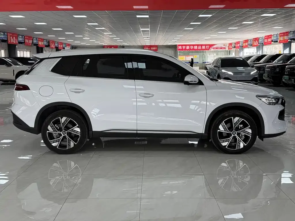 BYD Pro New Energy — фото 5