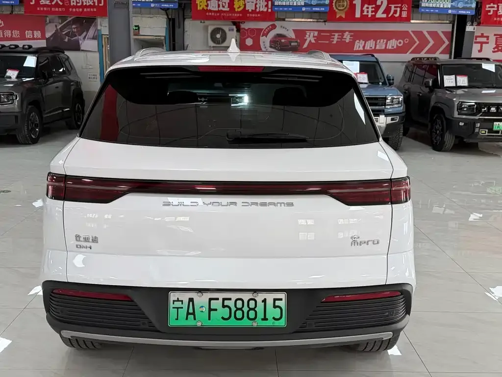 BYD Pro New Energy — фото 7
