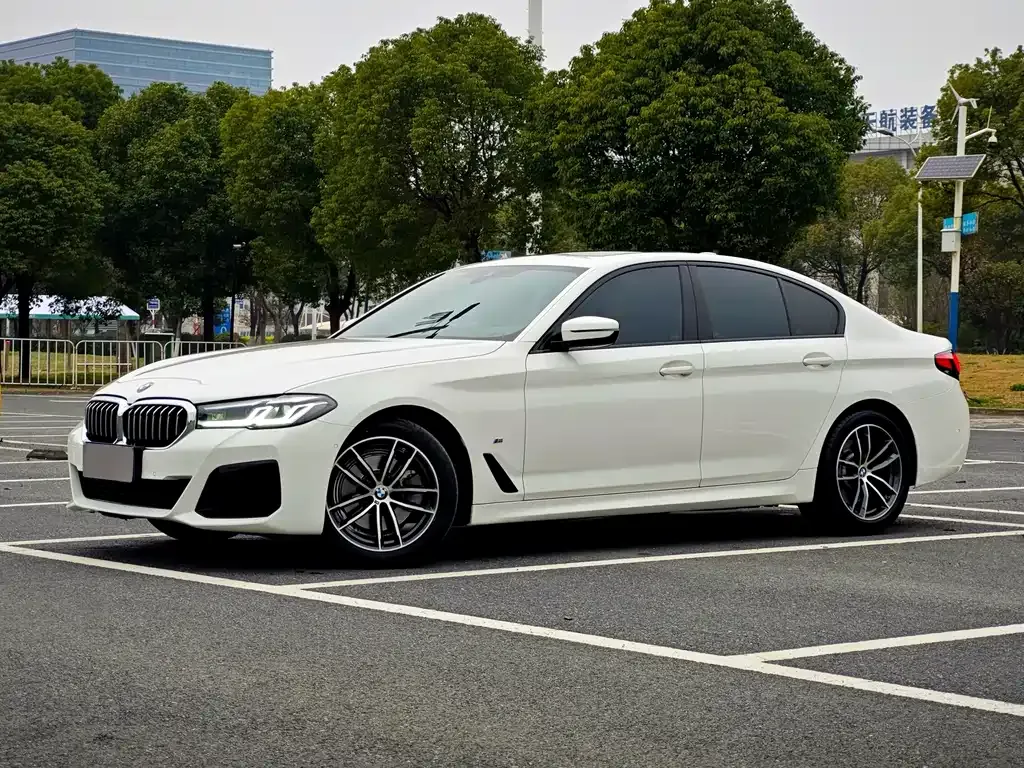 BMW 5 Series (Import) 2021 из CN, фото 1