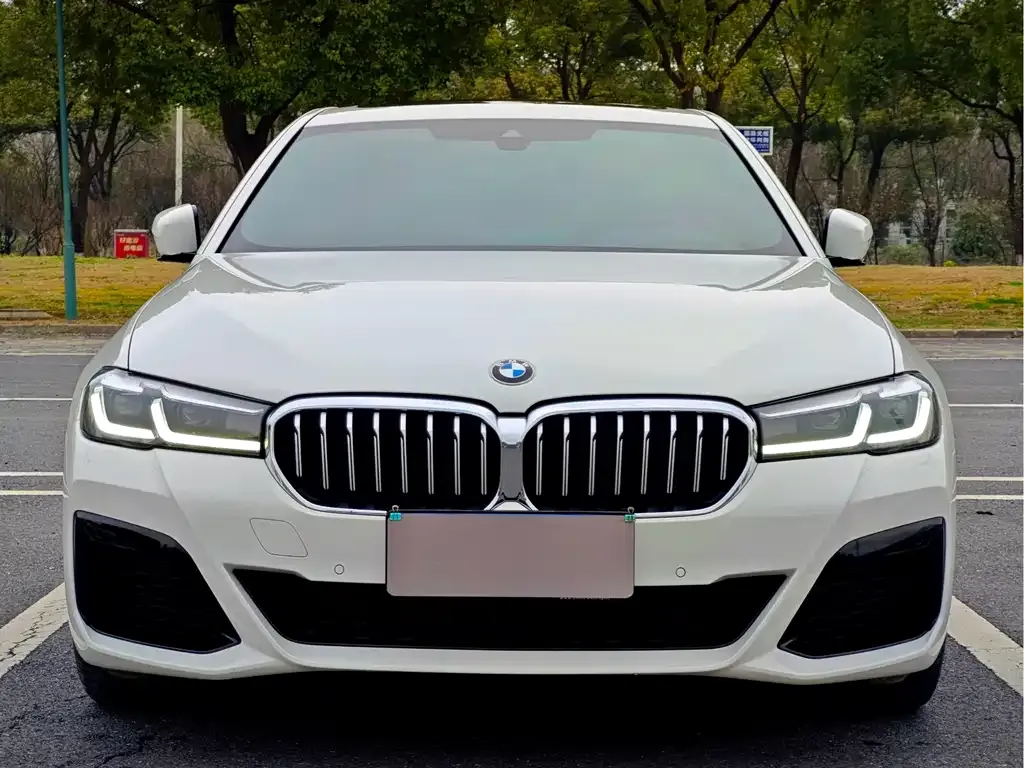BMW 5 Series (Import) 2021 из CN, фото 3