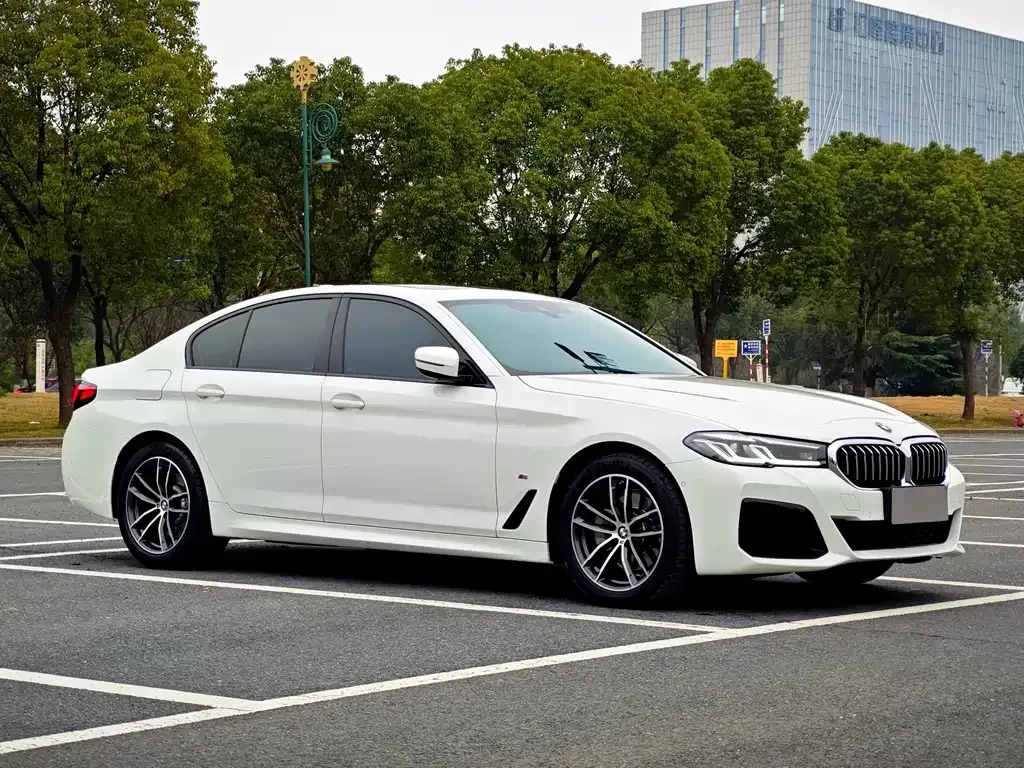 BMW 5 Series (Import) 2021 из CN, фото 6