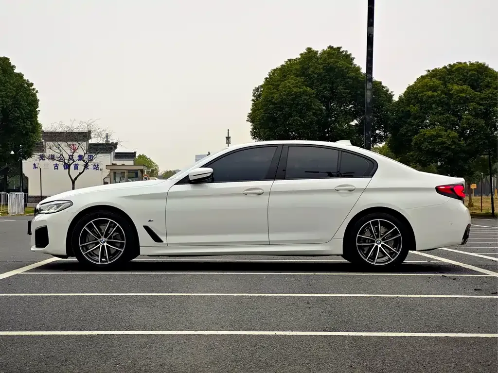 BMW 5 Series (Import) 2021 из CN, фото 9