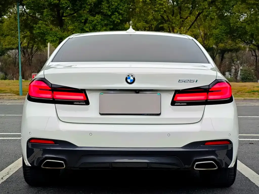 BMW 5 Series (Import) 2021 из CN, фото 5