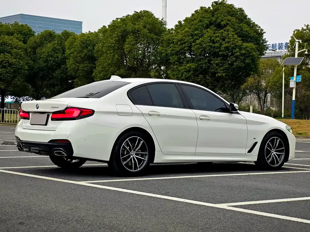 BMW 5 Series (Import) 2021 из CN, фото 7