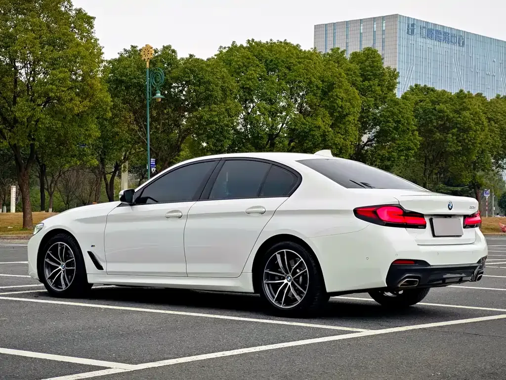 BMW 5 Series (Import) 2021 из CN, фото 8