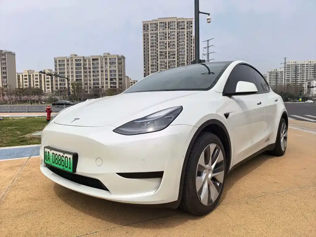 Tesla Model Y — фото 1