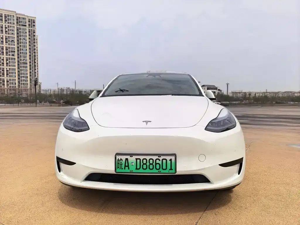 Tesla Model Y — фото 2