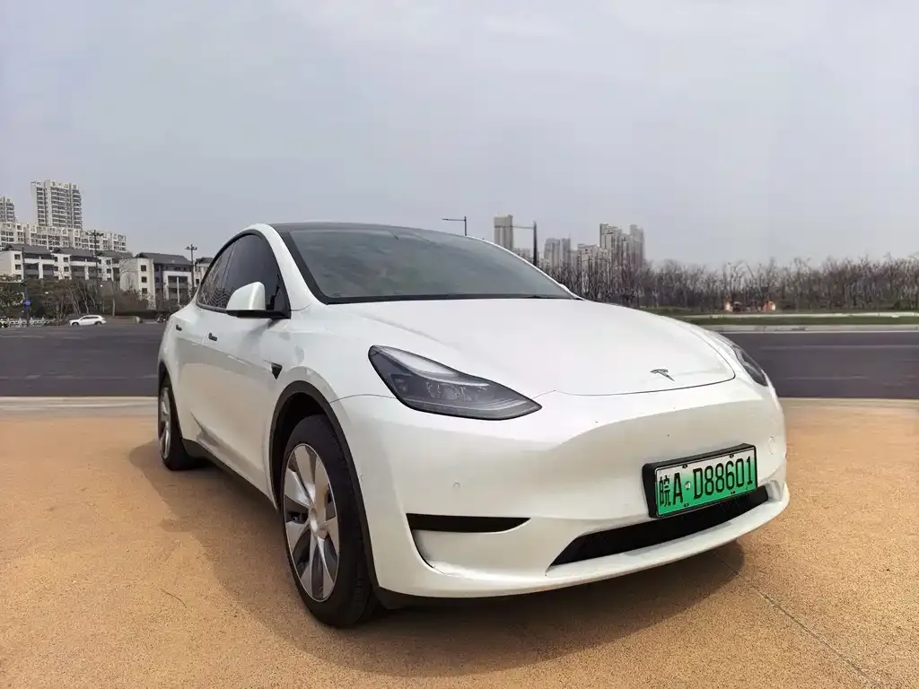Tesla Model Y — фото 6