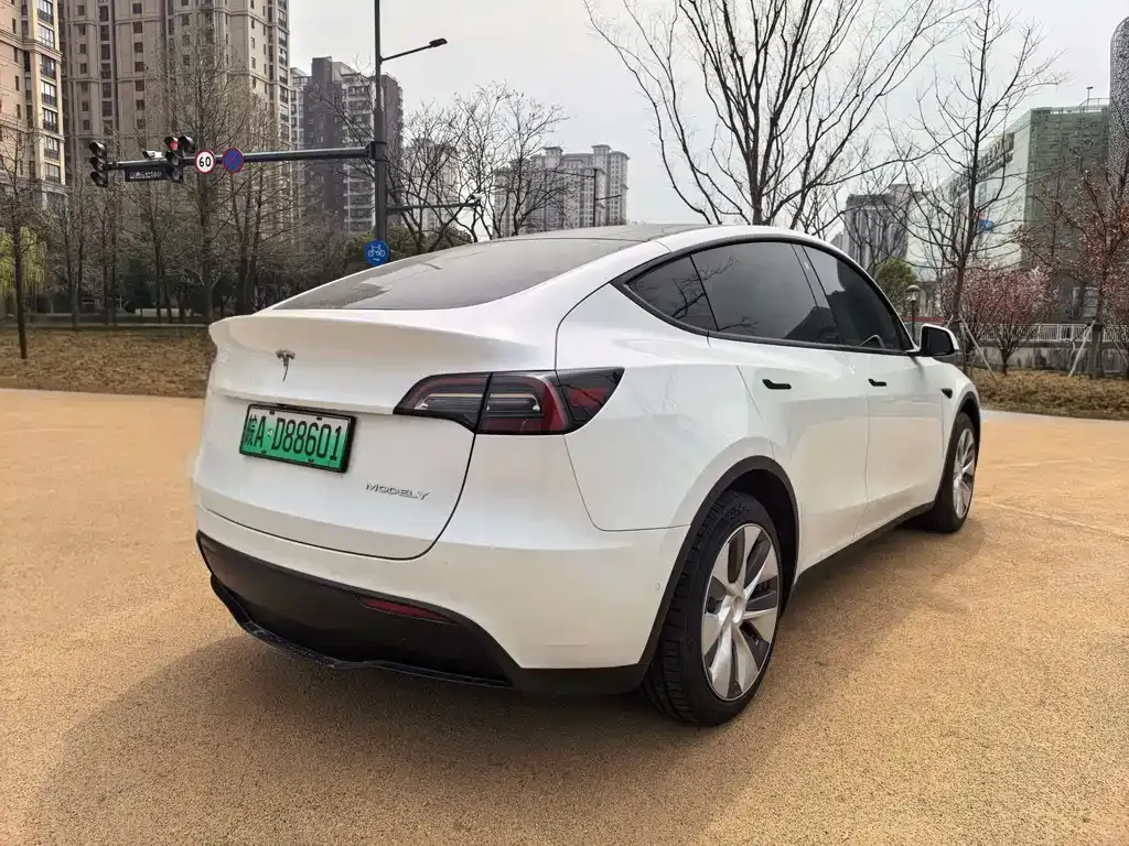 Tesla Model Y — фото 9