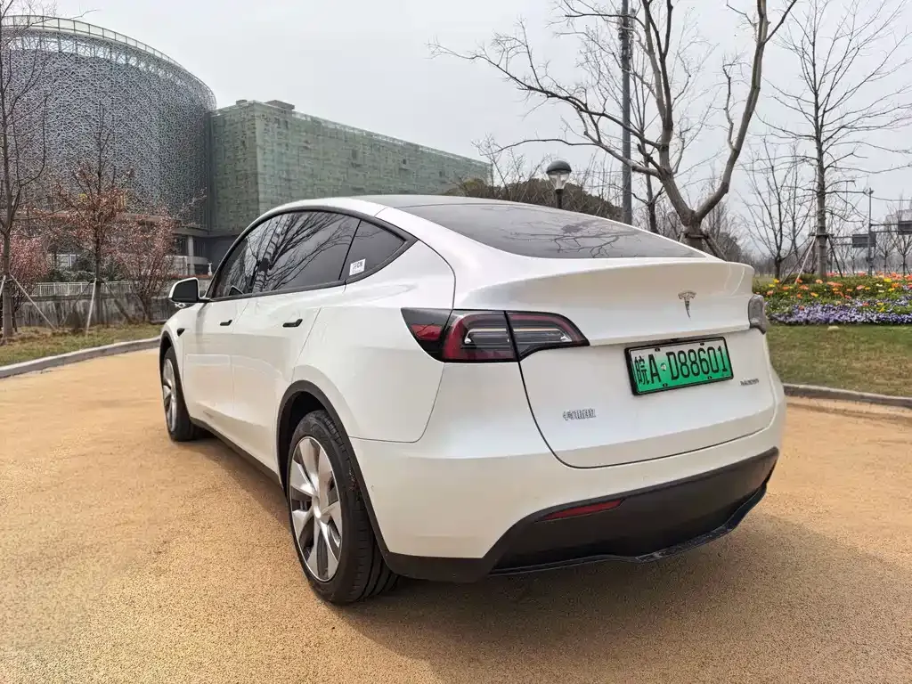 Tesla Model Y — фото 8