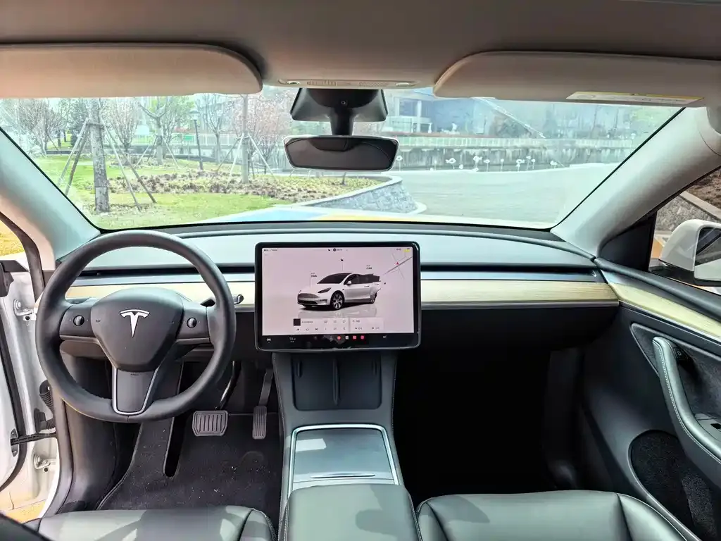 Tesla Model Y — фото 10