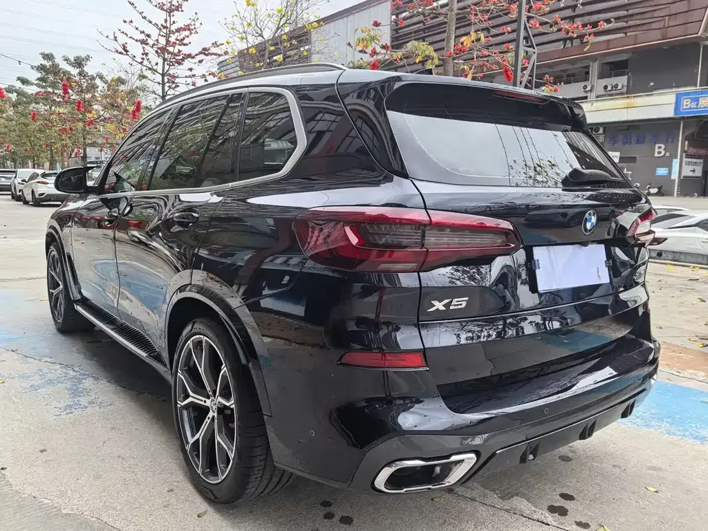 BMW X5 (Import) — фото 6