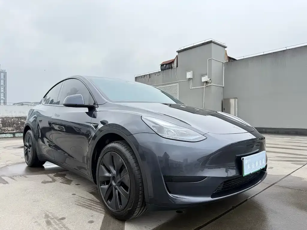 Tesla Model Y 2024 из CN, фото 9