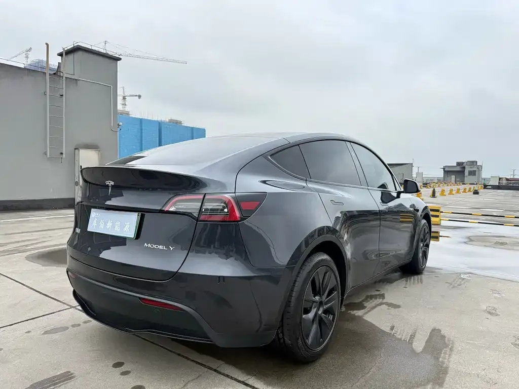 Tesla Model Y 2024 из CN, фото 6