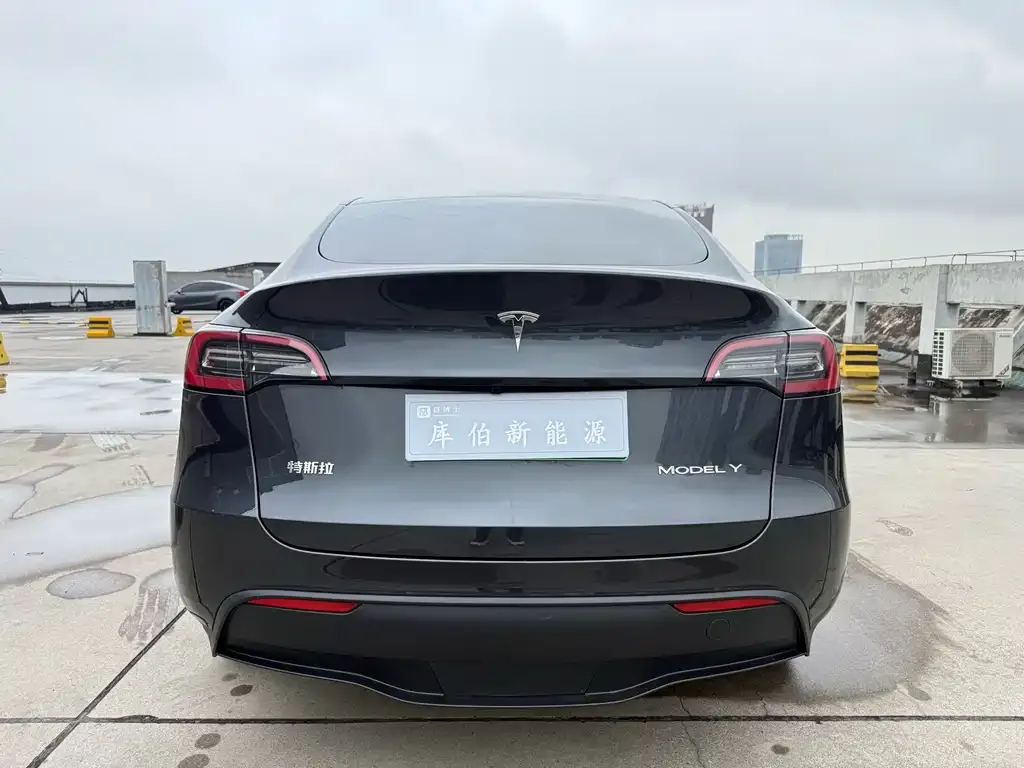 Tesla Model Y 2024 из CN, фото 3