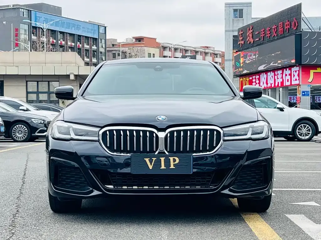 BMW 5 Series 2023 из CN, фото 3