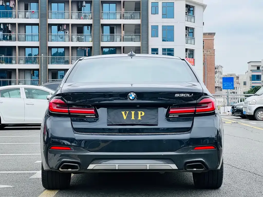 BMW 5 Series 2023 из CN, фото 2