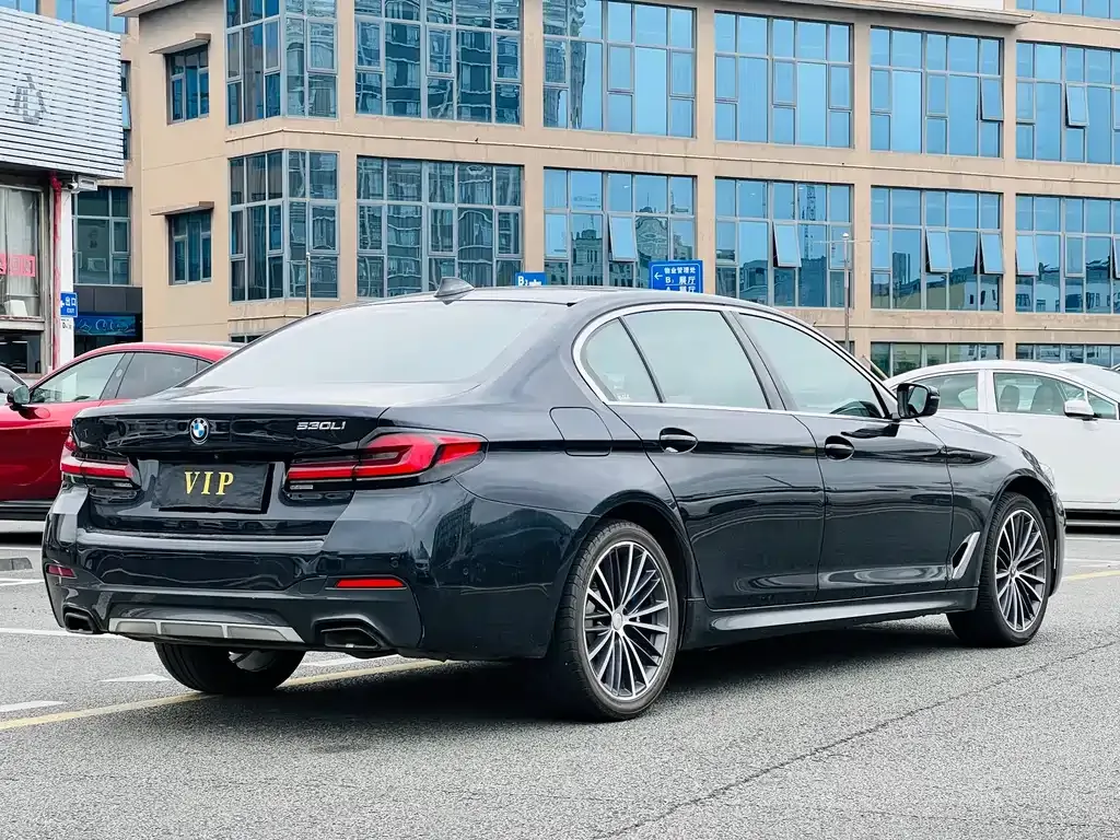 BMW 5 Series 2023 из CN, фото 8