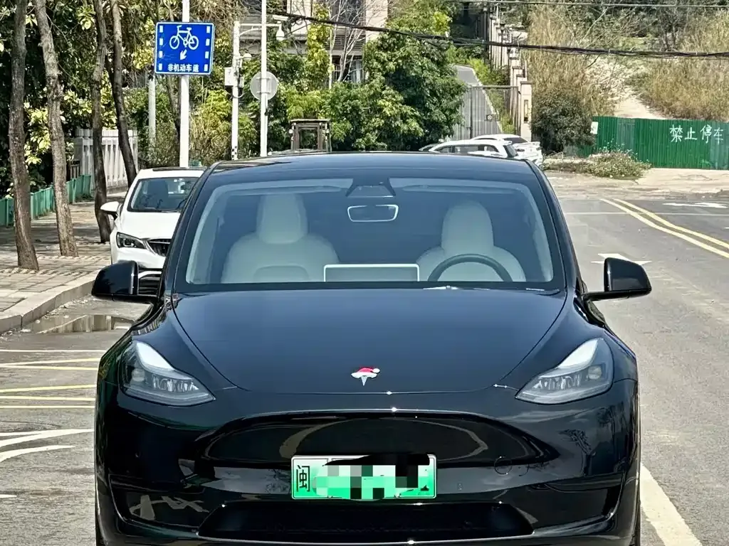 Tesla Model Y — фото 6