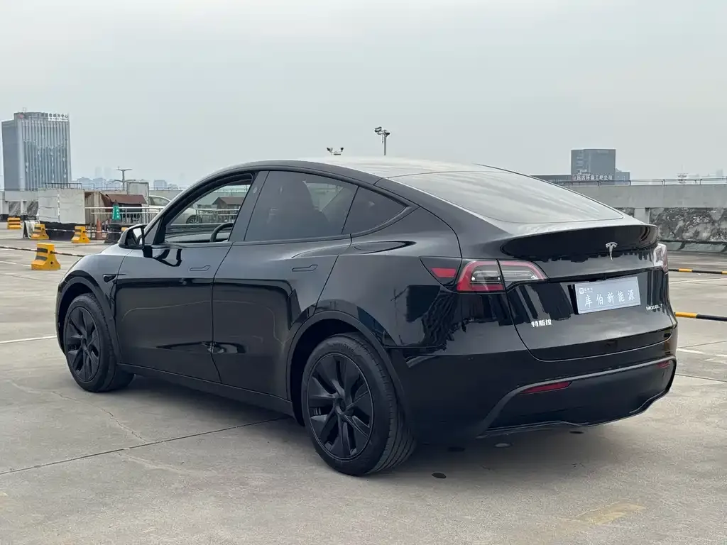 Tesla Model Y 2024 из CN, фото 3